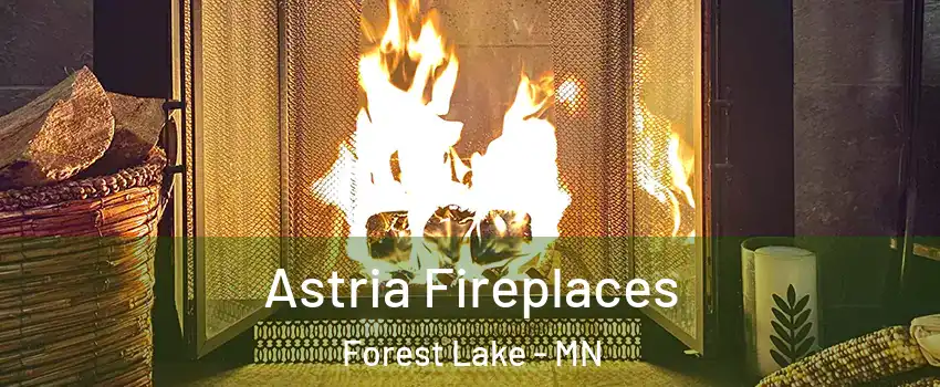  Astria Fireplaces Forest Lake - MN