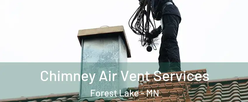 Chimney Air Vent Services Forest Lake - MN