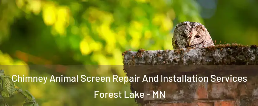  Chimney Animal Screen Repair And Installation Services Forest Lake - MN