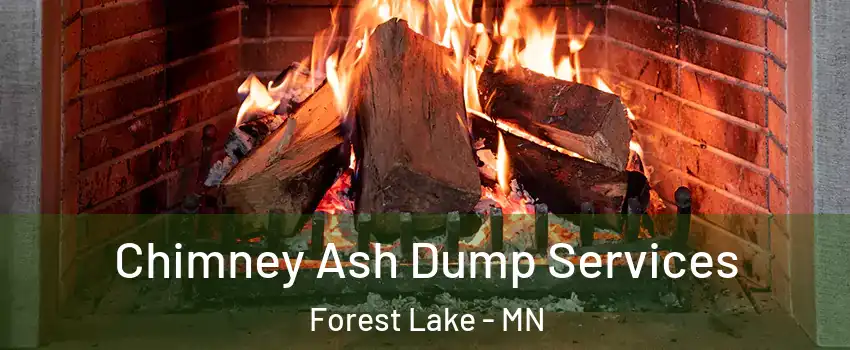  Chimney Ash Dump Services Forest Lake - MN