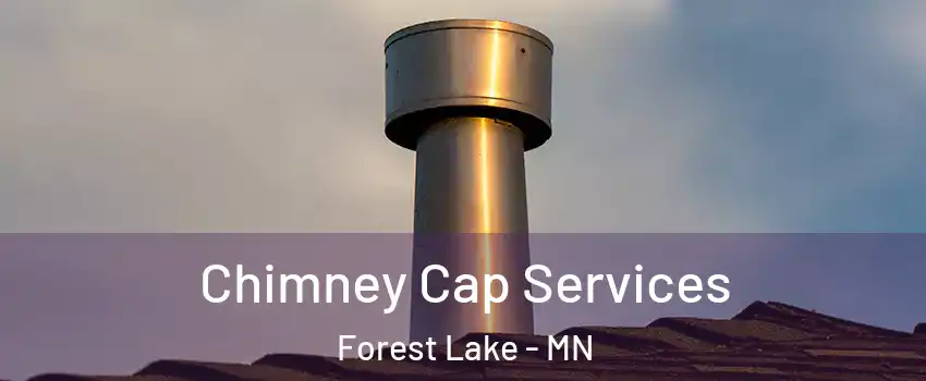  Chimney Cap Services Forest Lake - MN