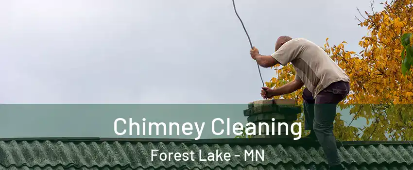  Chimney Cleaning Forest Lake - MN
