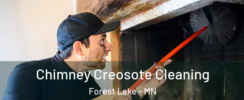  Chimney Creosote Cleaning Forest Lake - MN
