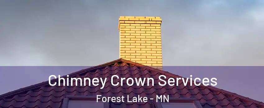  Chimney Crown Services Forest Lake - MN