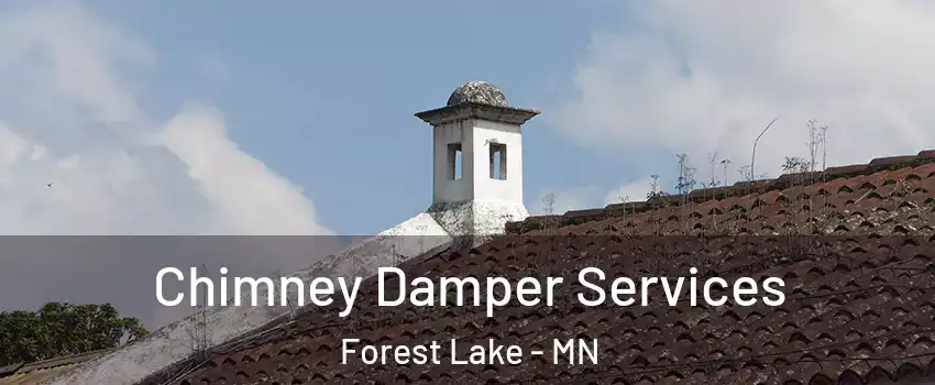  Chimney Damper Services Forest Lake - MN