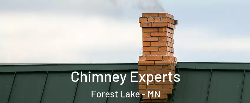  Chimney Experts Forest Lake - MN