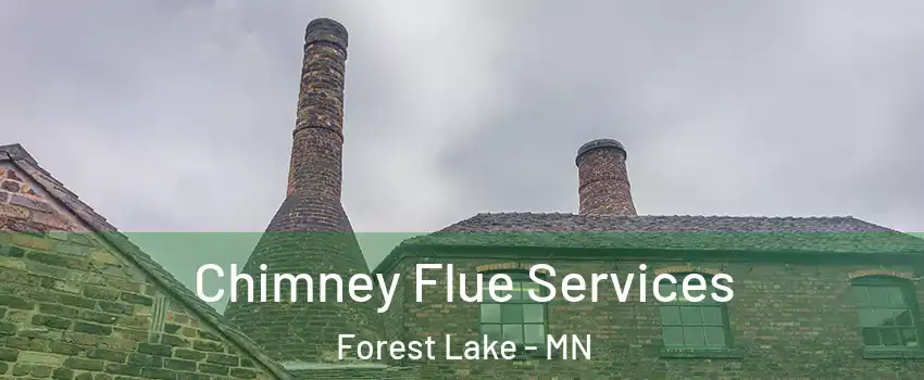  Chimney Flue Services Forest Lake - MN