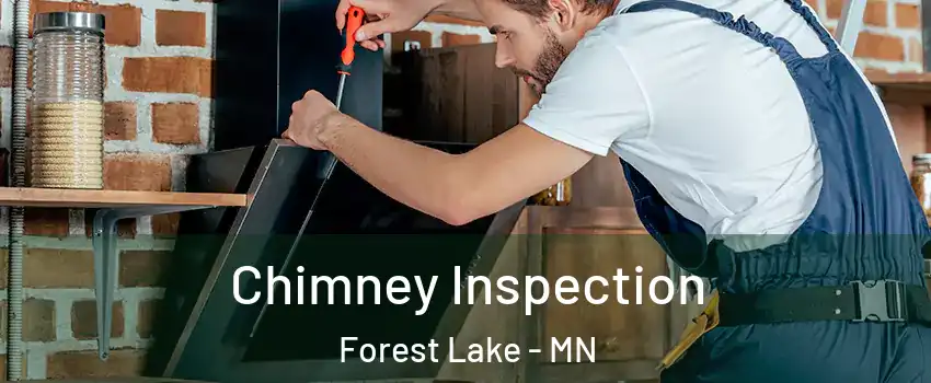  Chimney Inspection Forest Lake - MN