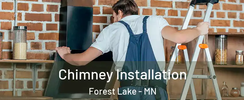  Chimney Installation Forest Lake - MN
