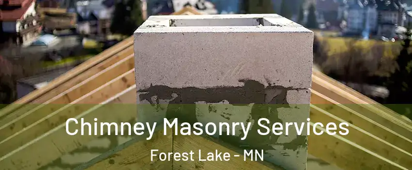  Chimney Masonry Services Forest Lake - MN
