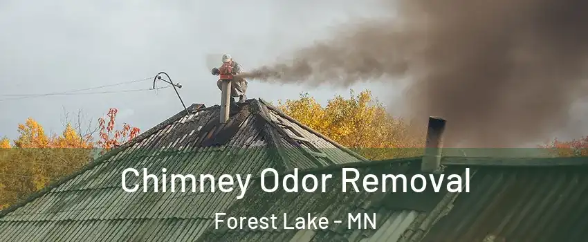  Chimney Odor Removal Forest Lake - MN