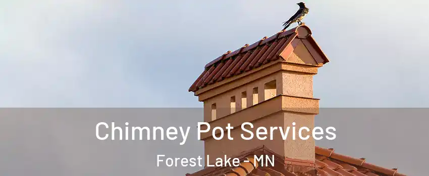  Chimney Pot Services Forest Lake - MN