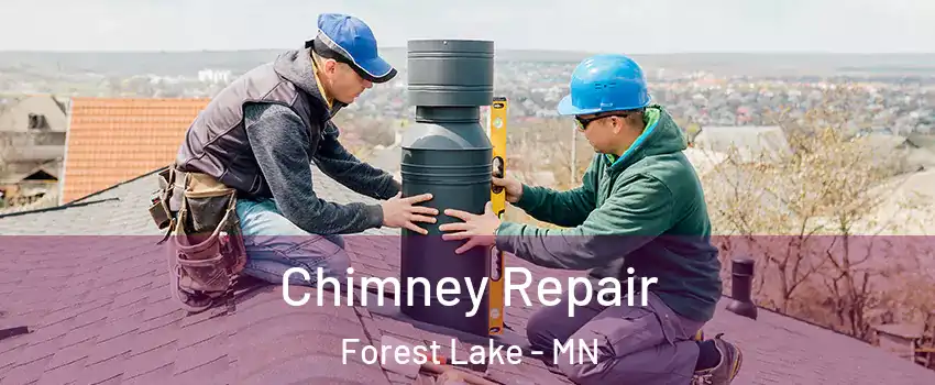  Chimney Repair Forest Lake - MN