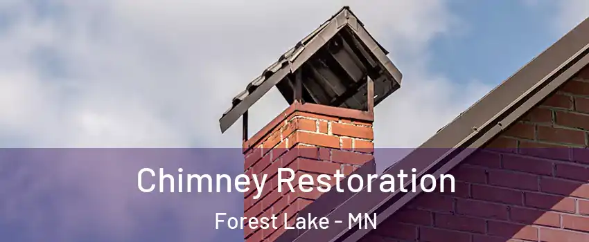  Chimney Restoration Forest Lake - MN