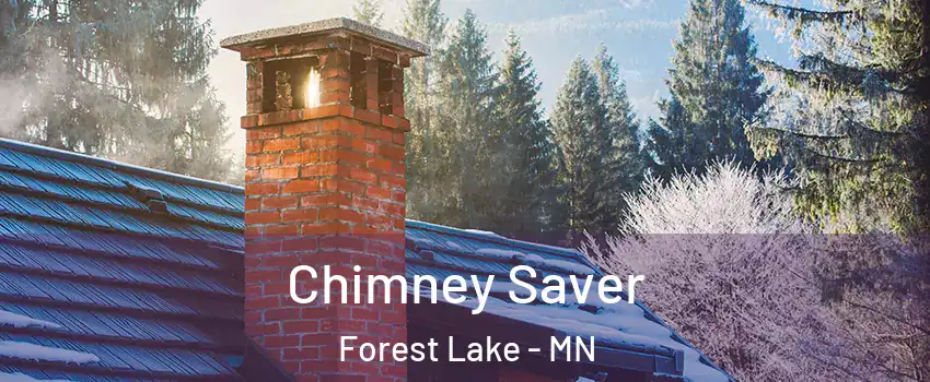 Chimney Saver Forest Lake - MN