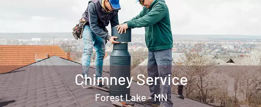  Chimney Service Forest Lake - MN