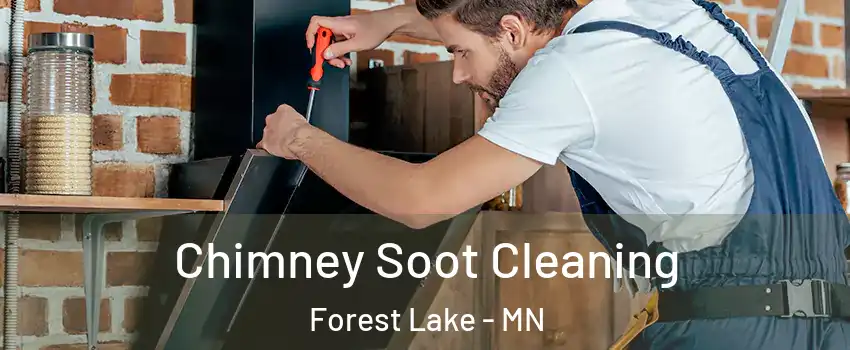  Chimney Soot Cleaning Forest Lake - MN