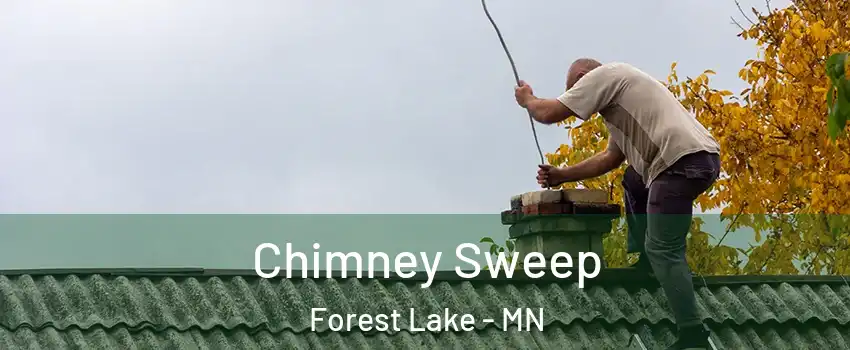  Chimney Sweep Forest Lake - MN