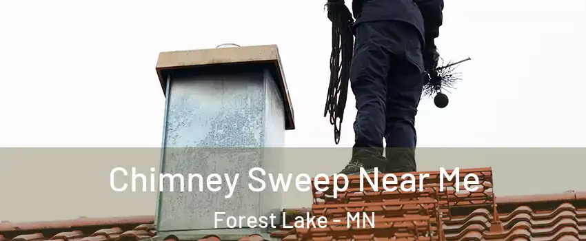  Chimney Sweep Near Me Forest Lake - MN