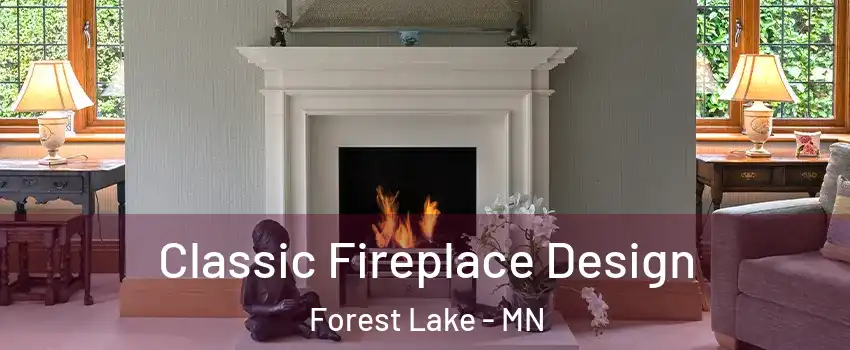  Classic Fireplace Design Forest Lake - MN