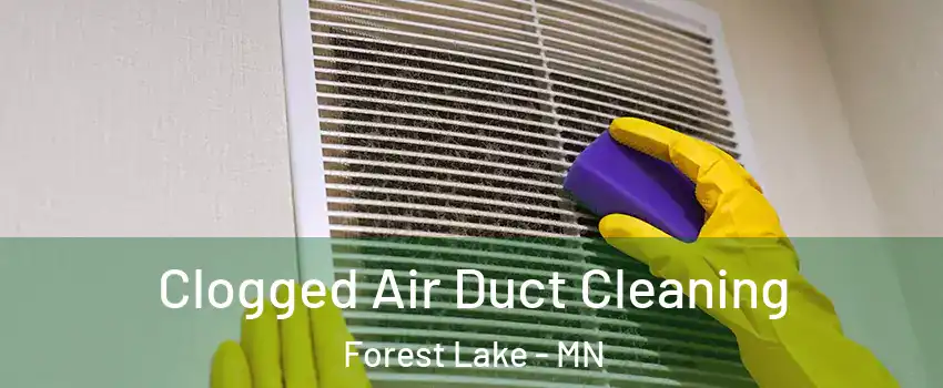  Clogged Air Duct Cleaning Forest Lake - MN