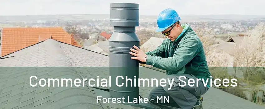  Commercial Chimney Services Forest Lake - MN