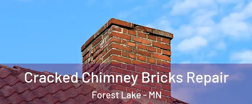  Cracked Chimney Bricks Repair Forest Lake - MN