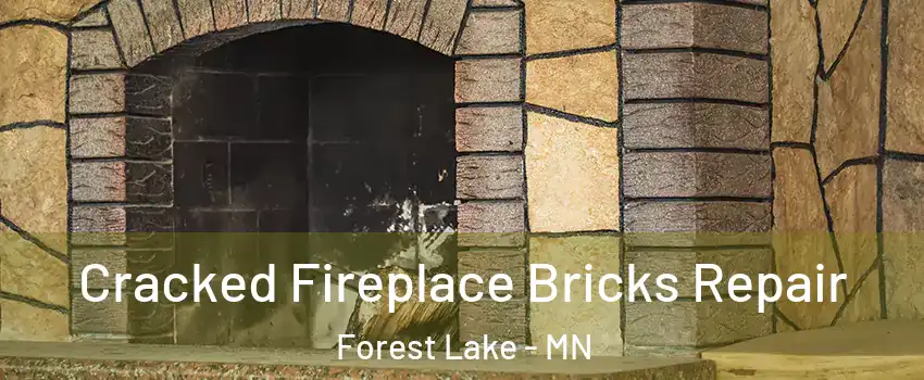  Cracked Fireplace Bricks Repair Forest Lake - MN