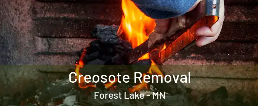  Creosote Removal Forest Lake - MN