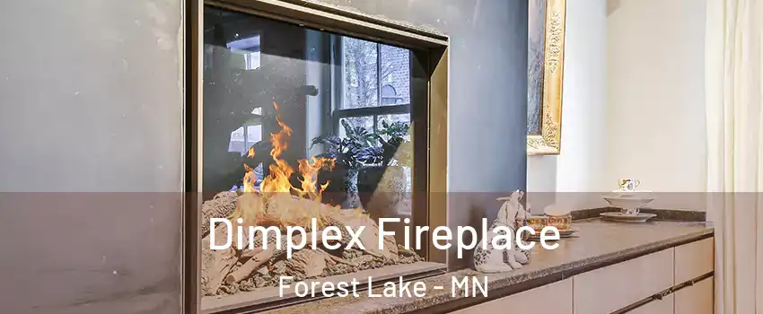  Dimplex Fireplace Forest Lake - MN