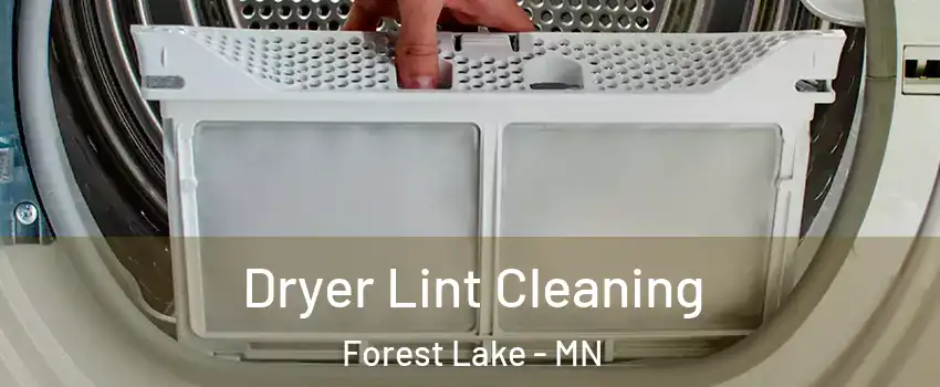  Dryer Lint Cleaning Forest Lake - MN