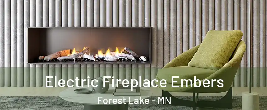  Electric Fireplace Embers Forest Lake - MN