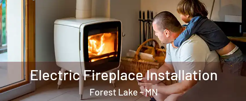  Electric Fireplace Installation Forest Lake - MN