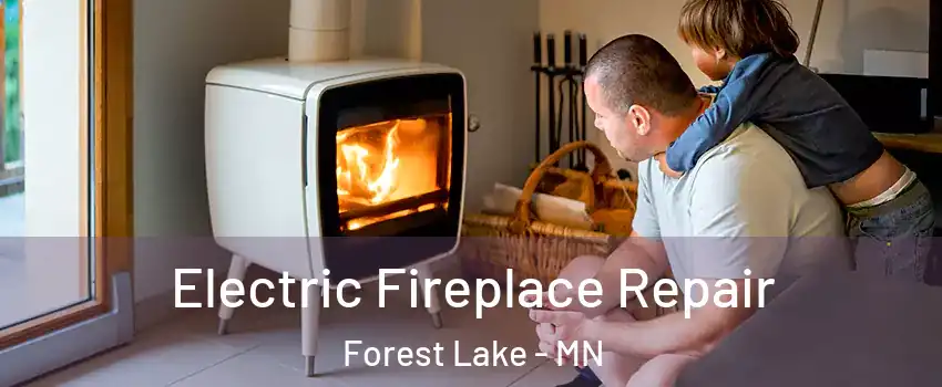  Electric Fireplace Repair Forest Lake - MN