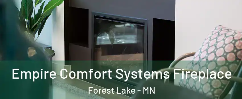 Empire Comfort Systems Fireplace Forest Lake - MN