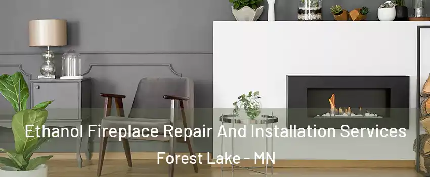  Ethanol Fireplace Repair And Installation Services Forest Lake - MN