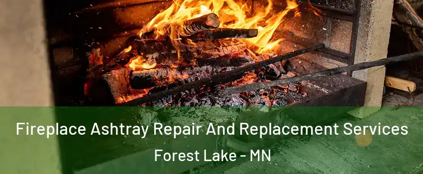  Fireplace Ashtray Repair And Replacement Services Forest Lake - MN