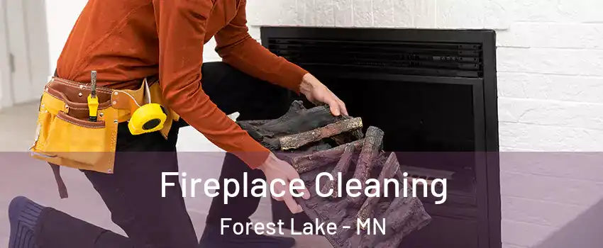  Fireplace Cleaning Forest Lake - MN