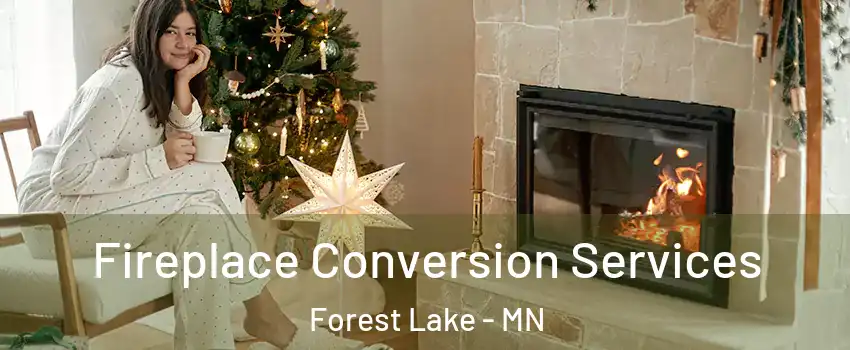  Fireplace Conversion Services Forest Lake - MN