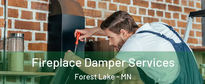  Fireplace Damper Services Forest Lake - MN