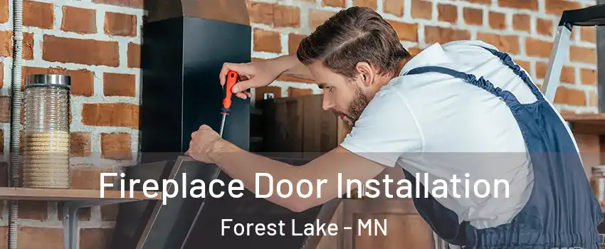  Fireplace Door Installation Forest Lake - MN