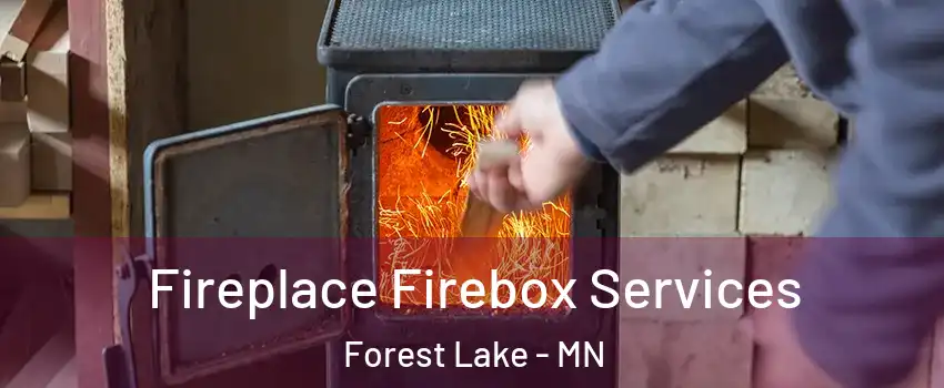  Fireplace Firebox Services Forest Lake - MN