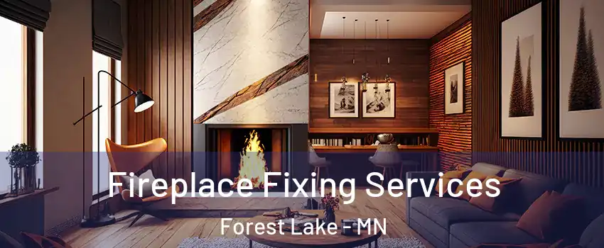  Fireplace Fixing Services Forest Lake - MN