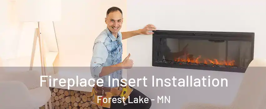  Fireplace Insert Installation Forest Lake - MN
