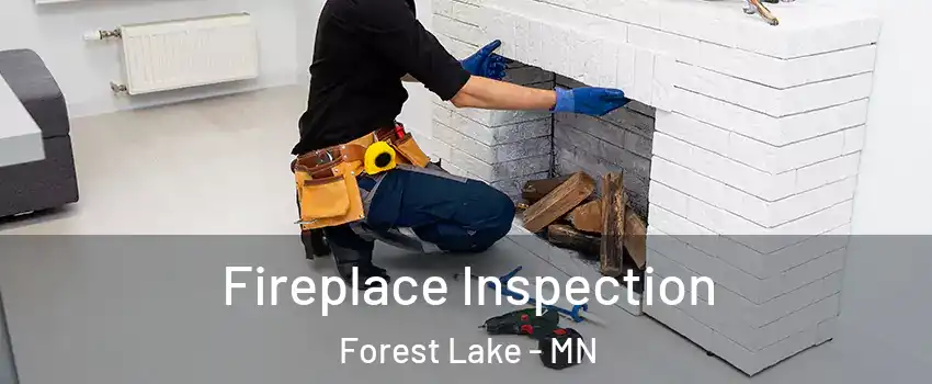  Fireplace Inspection Forest Lake - MN