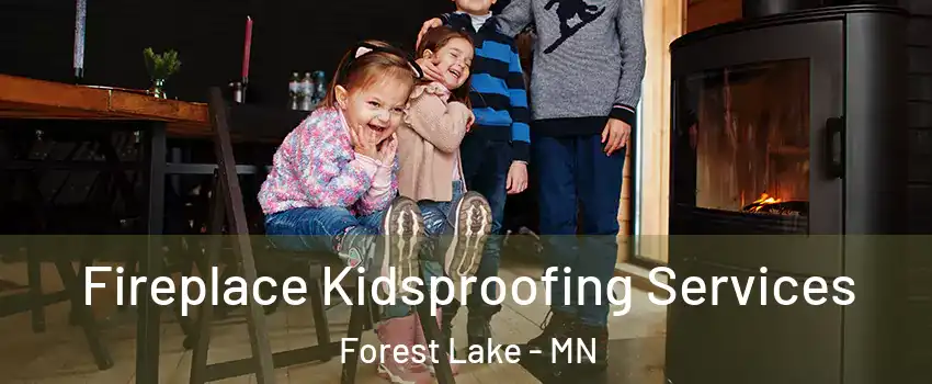  Fireplace Kidsproofing Services Forest Lake - MN