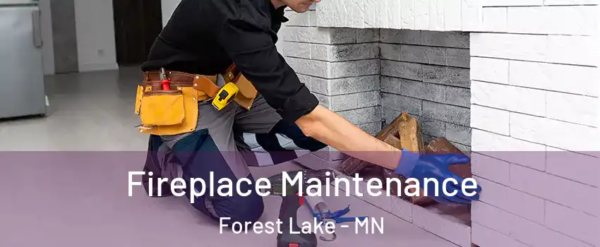  Fireplace Maintenance Forest Lake - MN