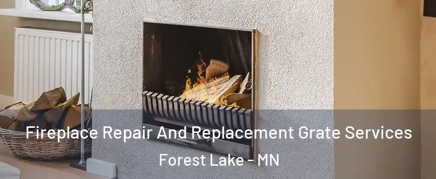  Fireplace Repair And Replacement Grate Services Forest Lake - MN