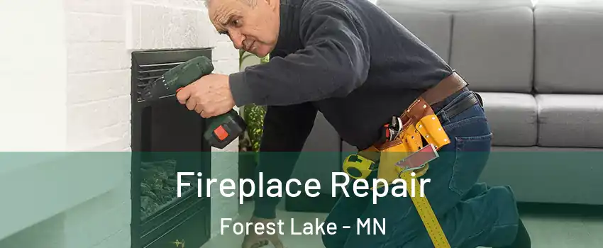  Fireplace Repair Forest Lake - MN