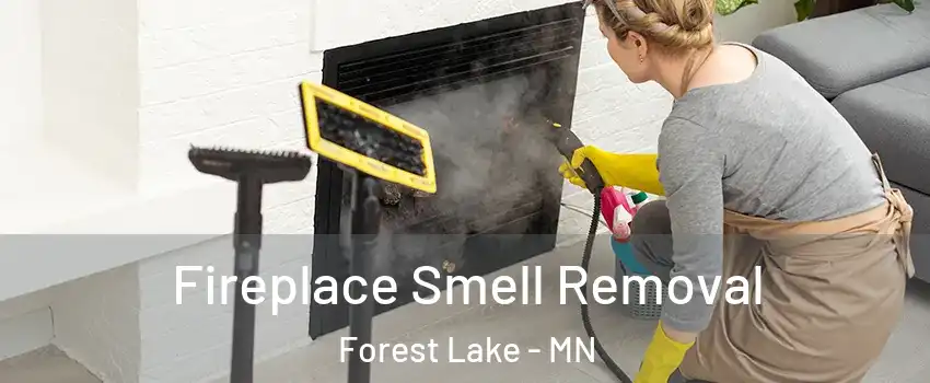  Fireplace Smell Removal Forest Lake - MN